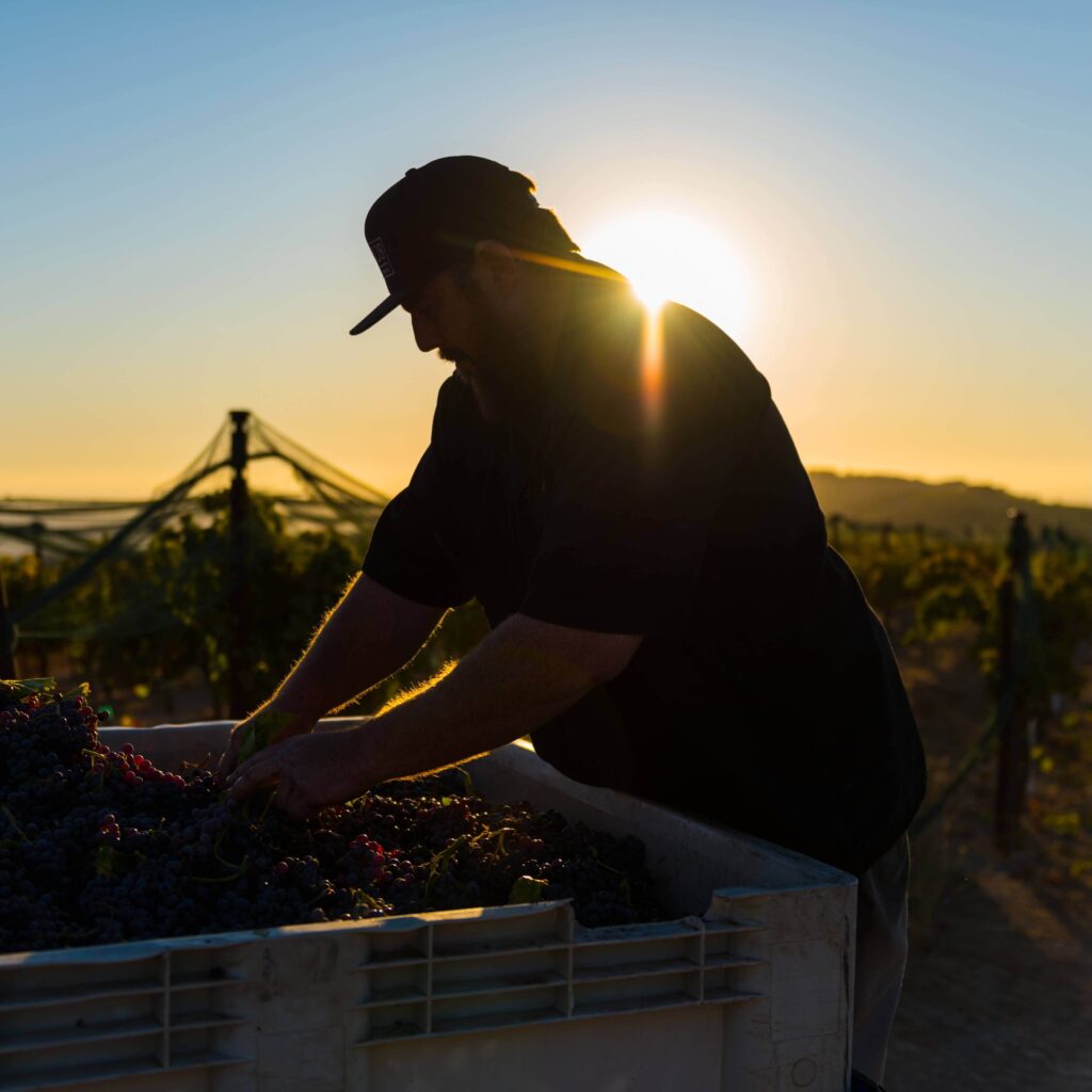 McPrice Myers winemaker portrait Paso Robles